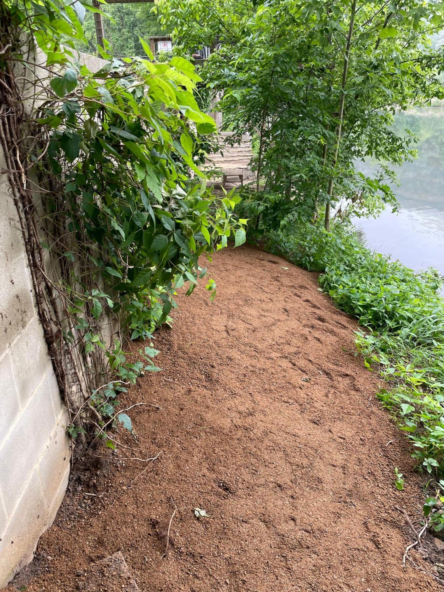 Pet Friendly Tiny House Rental With New Access To Guadalupe River Nbtx New Braunfels Dış mekan fotoğraf