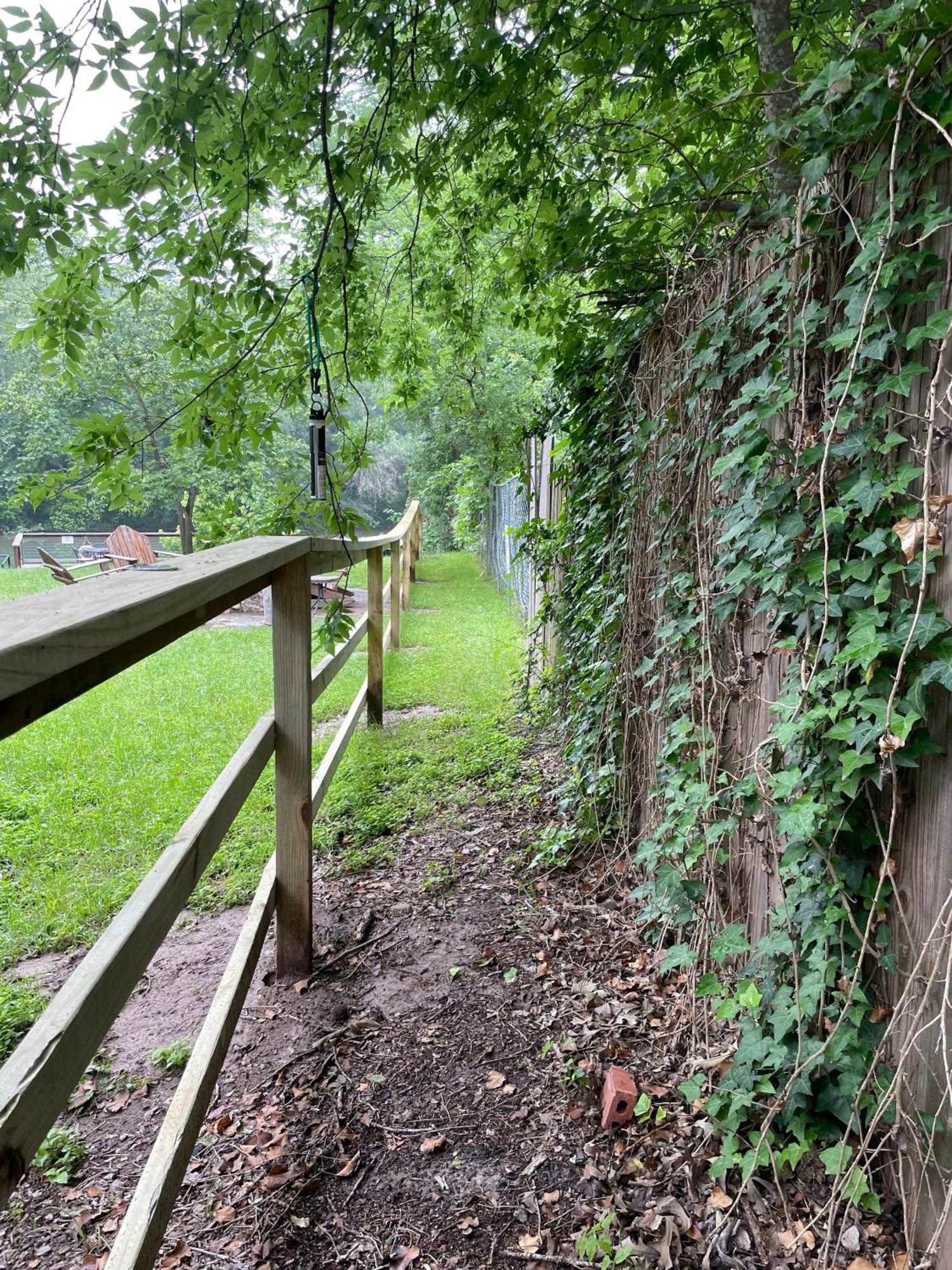 Pet Friendly Tiny House Rental With New Access To Guadalupe River Nbtx New Braunfels Dış mekan fotoğraf